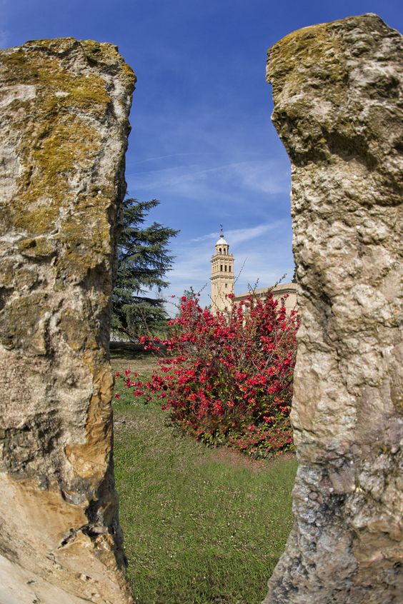 Vista panorámica de la Estación Experimental de Aula Dei