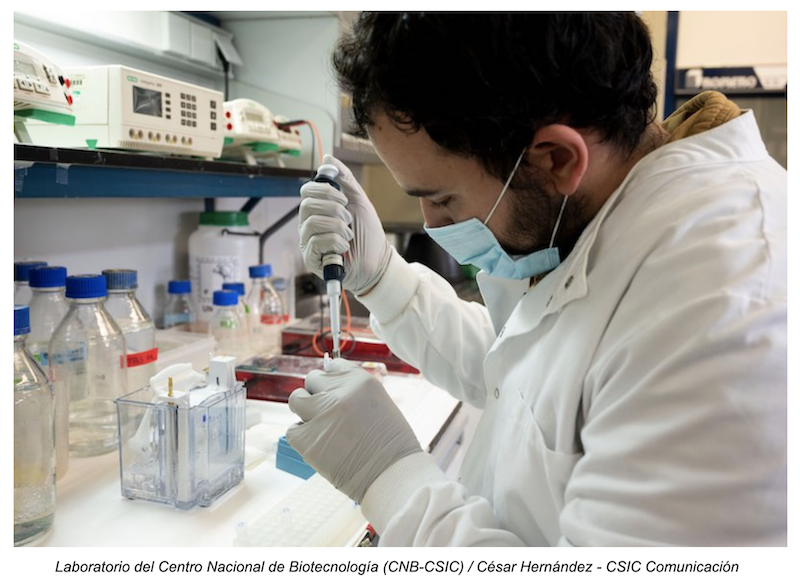 Laboratorio CNB