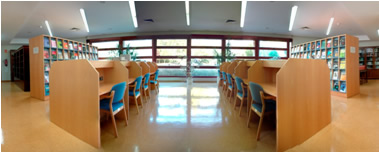 CIB CSIC