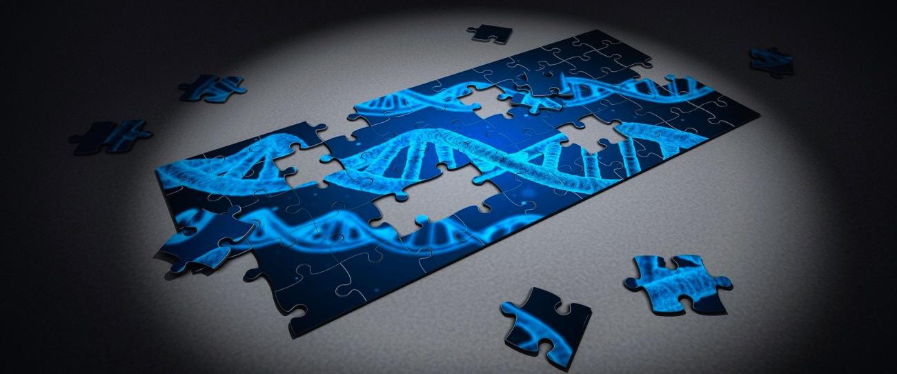 GesBIB integra ÍnDICEs CSIC como nueva fuente de datos