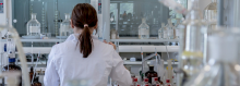 Bibliotecas y Archivos CSIC: Servicios de soporte a la investigación